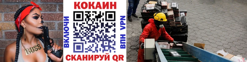 ссылка на мегу вход Североморск Cocaine Fish Scale