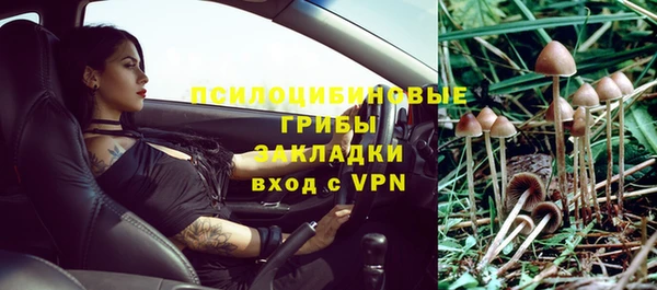 дживик Лихославль