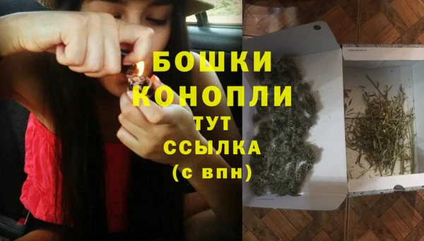 мдпв Липки