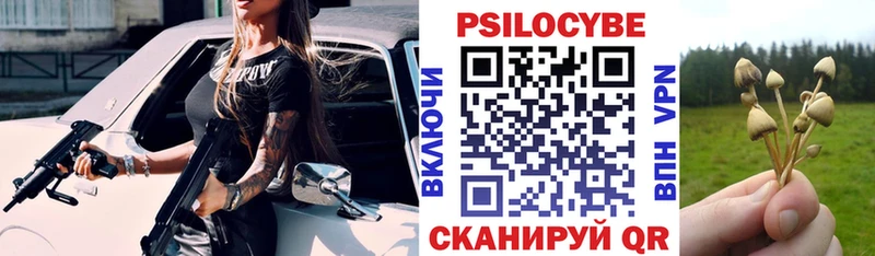 Псилоцибиновые грибы Psilocybe  Североморск 