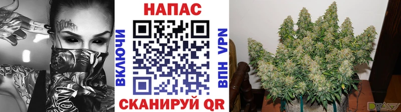 Каннабис план  даркнет сайт  ОМГ ОМГ сайт  Североморск 